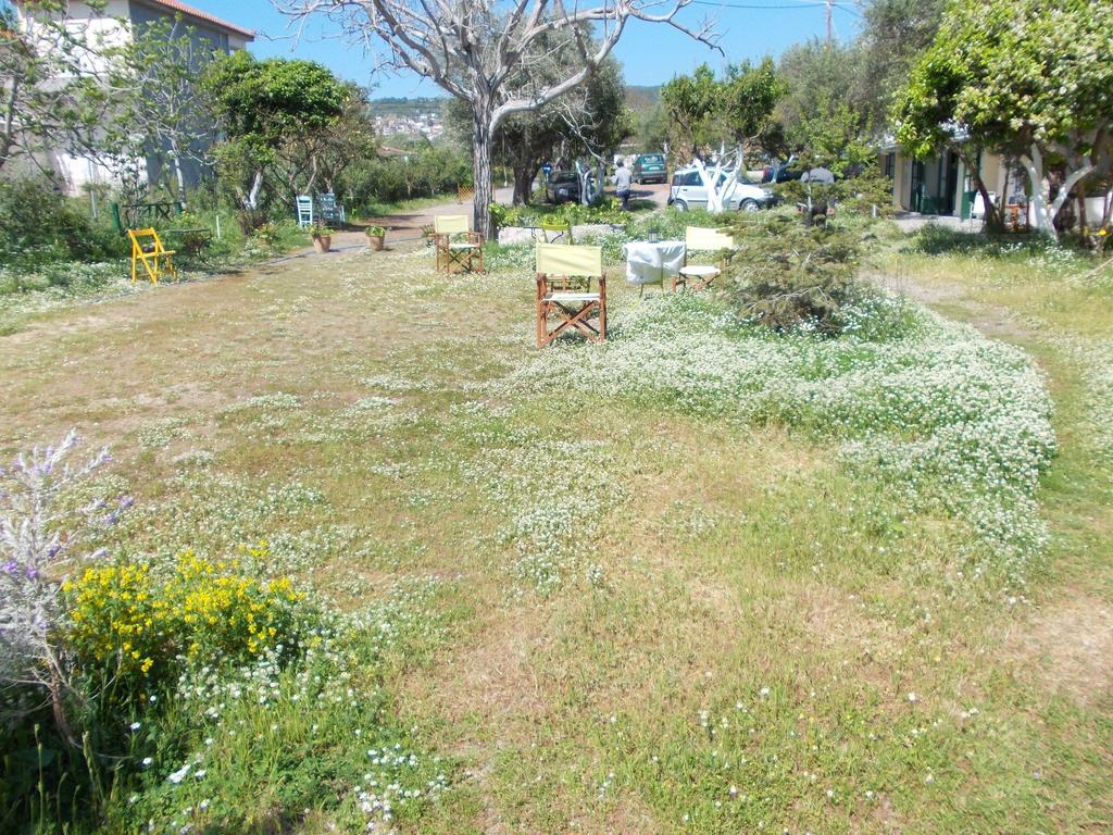 Kassimiotis Aparthotel Agios Andreas  Eksteriør bilde